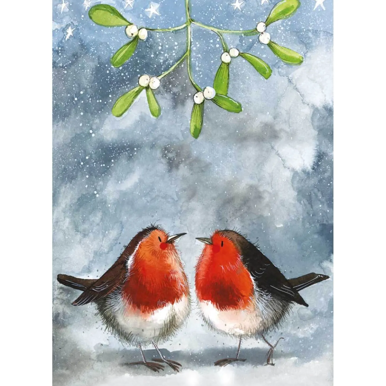 Alex Clark Christmas 100% Cotton Tea Towel - Robins & Mistletoe