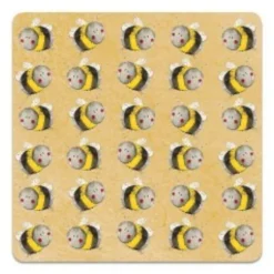 Alex Clark Coaster - Bees