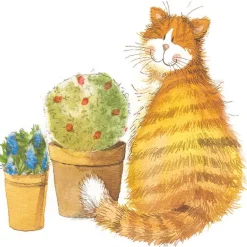 Alex Clark Coaster - Cats Whiskers