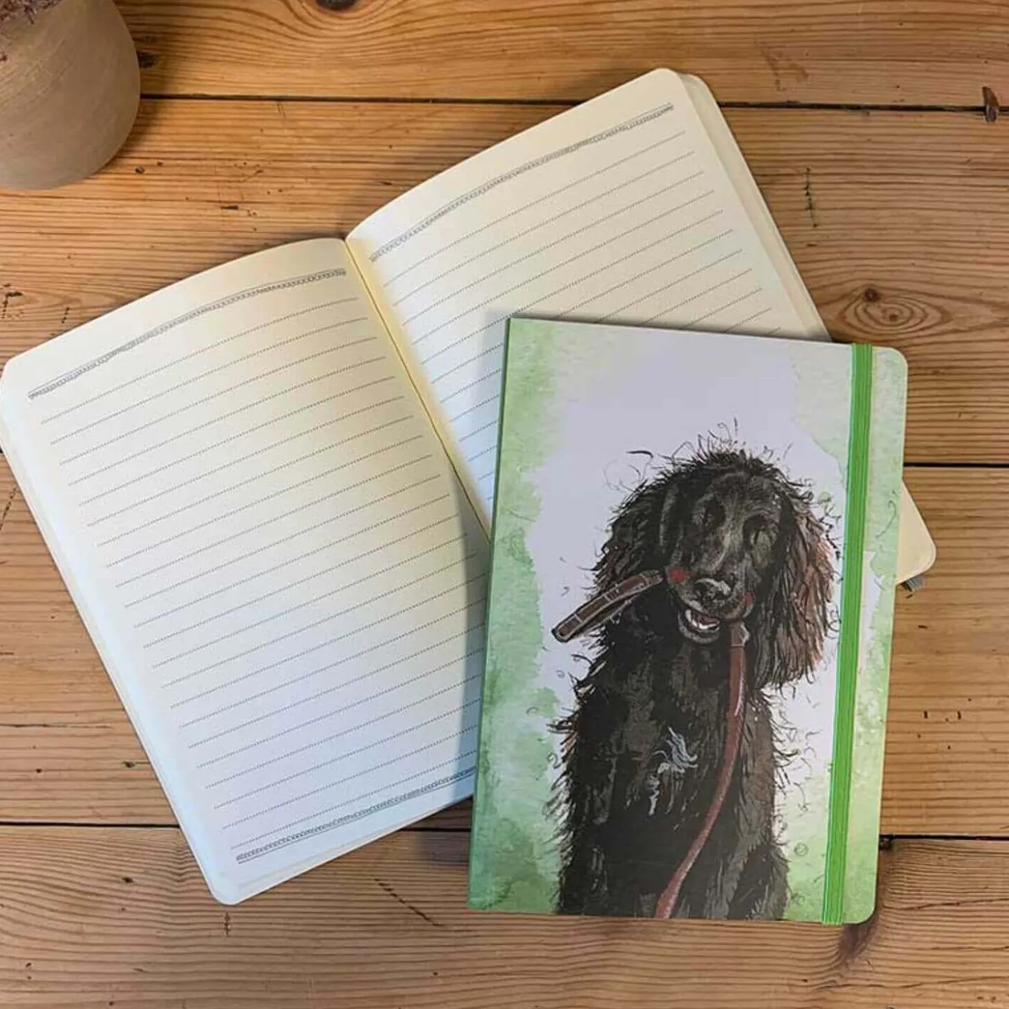 Alex Clark Large Chunky Notebook - Sprout