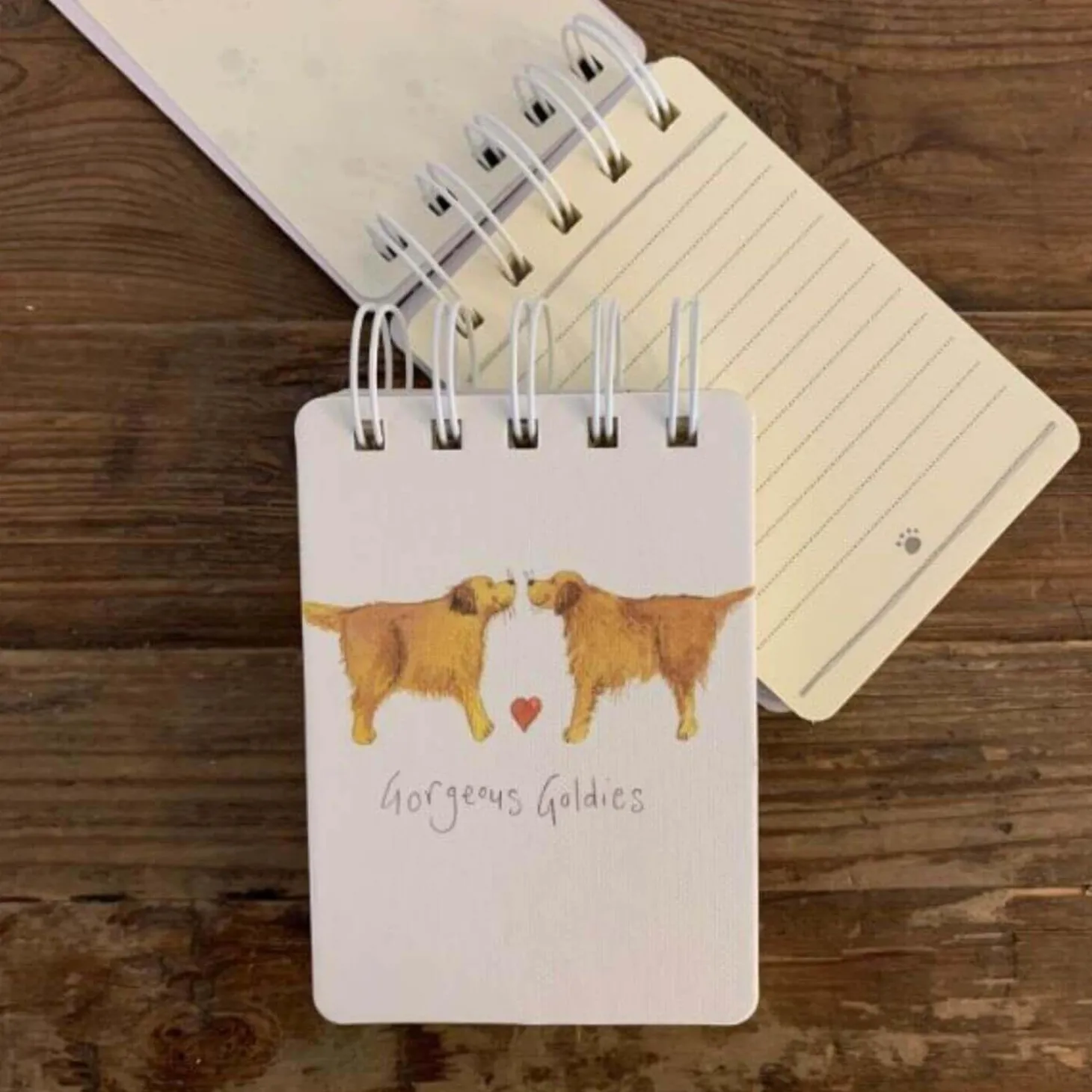 Alex Clark Small Spiral Bound Notepad - Gorgeous Goldies