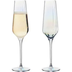 Anton Studio Designs 2-Piece 300ml Champagne Flutes - Palazzo