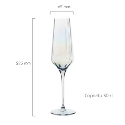 Anton Studio Designs 2-Piece 300ml Champagne Flutes - Palazzo