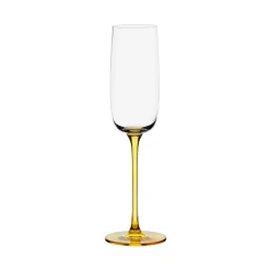 Anton Studio Designs 4-Piece 200ml Champagne Flutes - Gala