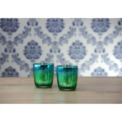 Artland Peacock 2 Piece Tumbler Glass Set