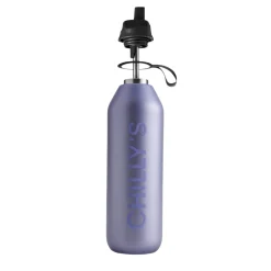 Chilly's Series 2 1-Litre Flip Reusable Water Bottle - Matte Metallic Lavender