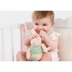 Classic Pooh Hundred Acre Wood Soft Toy - Piglet