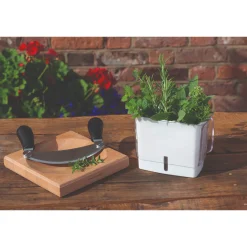 Cole & Mason Hachoir & Contoured Beech Board