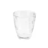 Epicurean Serena DOF 405ml Acrylic Tumbler - Clear