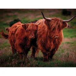 iStyle Rural Roots Rectangular Glass Worktop Saver - Cows