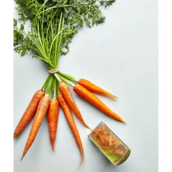 Joseph Joseph PeelStore With Waste Bowl - Green