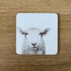 Katherine Sheard Coaster - Baaley Sheep