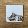 Katherine Sheard Coaster - Carter Cat