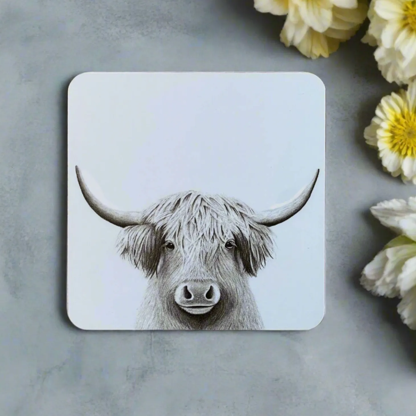 Katherine Sheard Coaster - Bessie Moo