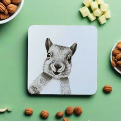 Katherine Sheard Coaster - Skittles Squirrel