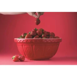 Mason Cash Colour Mix 26cm Stoneware Mixing Bowl - Red