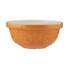 Mason Cash Stoneware Home To Roost S24 24cm Mixing Bowl - Orange