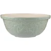 Mason Cash Stoneware Home To Roost S12 29cm Mixing Bowl - Green