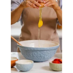 Mason Cash Stoneware Home To Roost S18 26cm Mixing Bowl - Blue