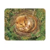 National Trust Medium Glass Worktop Protector - Dormouse