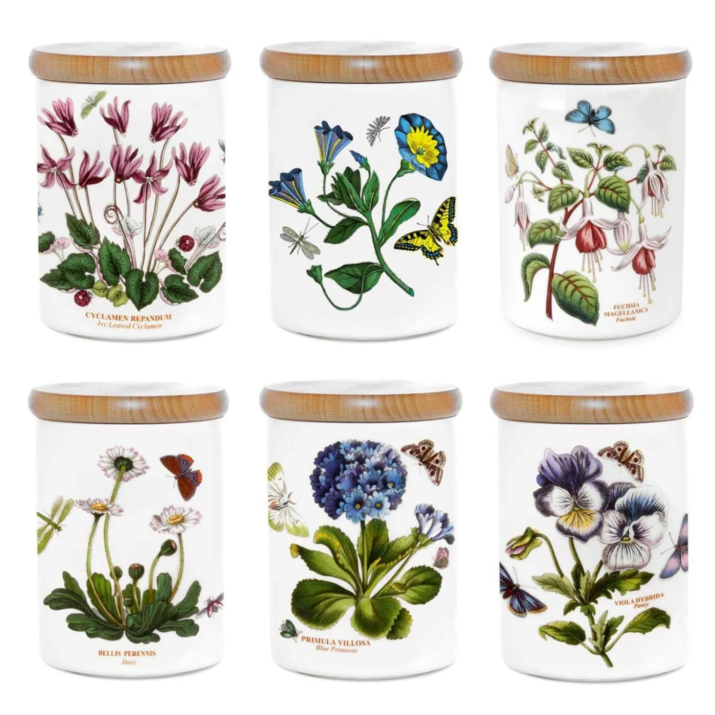 Portmeirion Botanic Garden 5.5" Airtight Storage Jar - Assorted