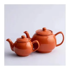 Price & Kensington 6 Cup Tea Pot - Burnt Orange
