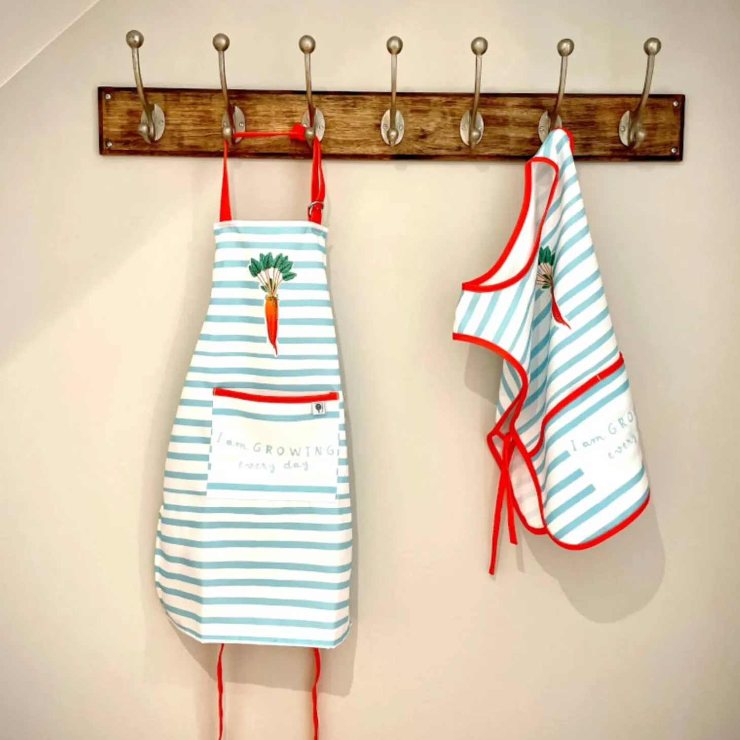 RHS Home Grown Carrots RPET Childrens Apron - Blue