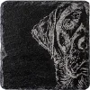 Selbrae House Slate Coaster - Labrador