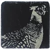 Selbrae House Slate Coaster - Pheasant
