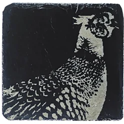Selbrae House Slate Coaster - Pheasant