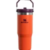 Stanley IceFlow 890ml Flip Straw Travel Tumbler - Tigerlily Plum