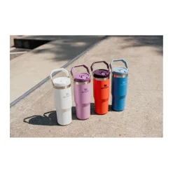 Stanley IceFlow 890ml Flip Straw Travel Tumbler - Tigerlily Plum