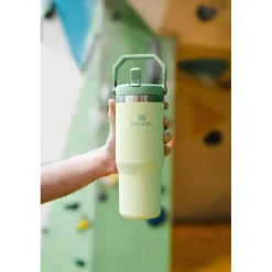 Stanley IceFlow 890ml Flip Straw Travel Tumbler - Citron