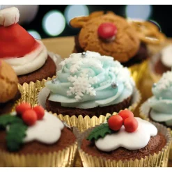 Sweetly Does It 3 Piece Fondant Plunger Cutter Set - Snowflake