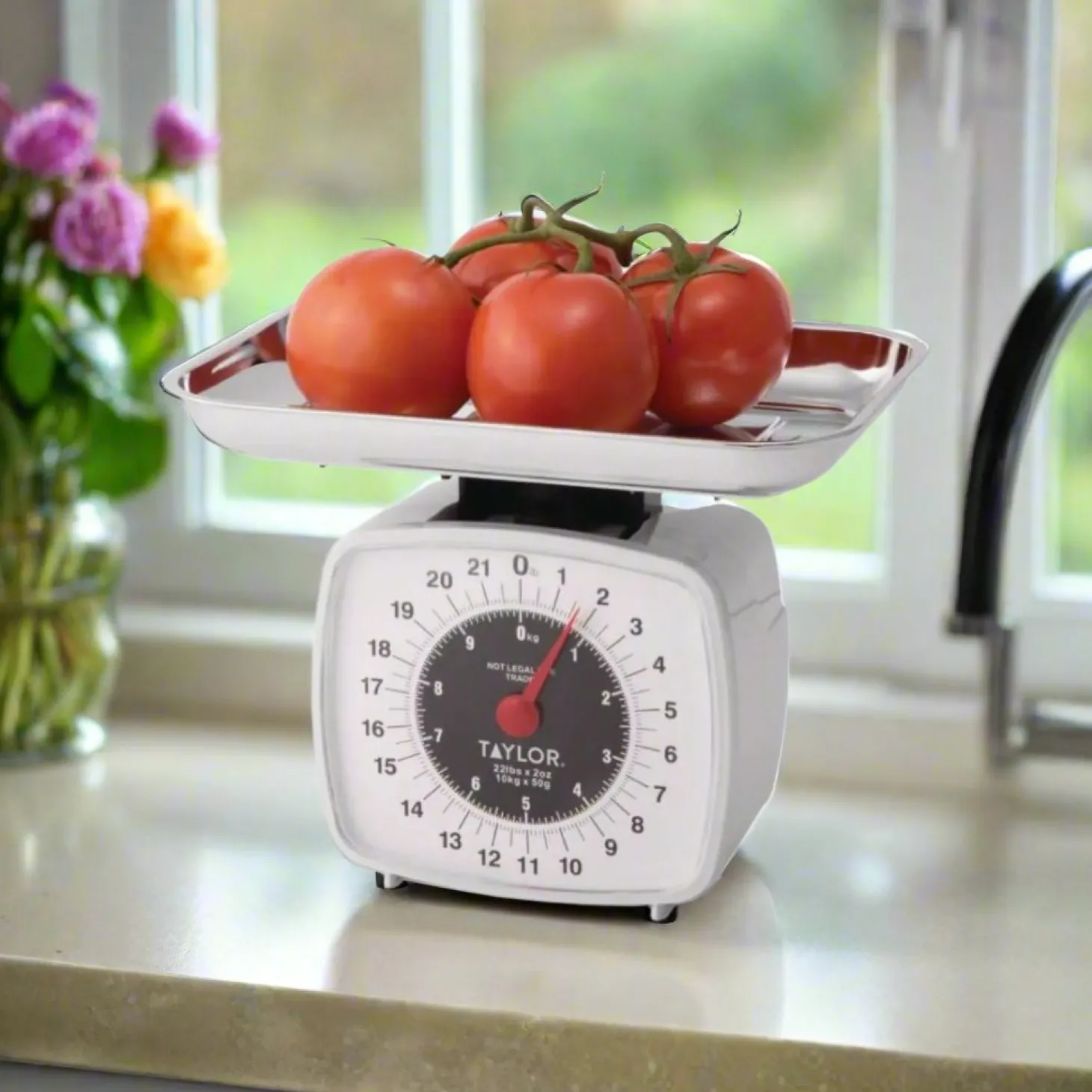 Taylor Pro High Capacity 10kg Mechanical Platform Scale