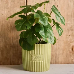 T&G Green House Large Plant Pot