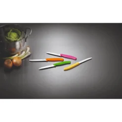 Victorinox Swiss Classic 10cm Paring Knife - Black