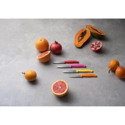 Victorinox Swiss Classic 10cm Paring Knife - Black