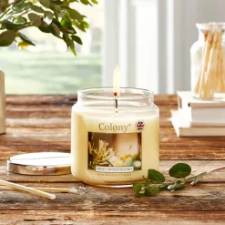 Wax Lyrical Colony Medium Scented Candle Jar - Sweet Honeysuckle