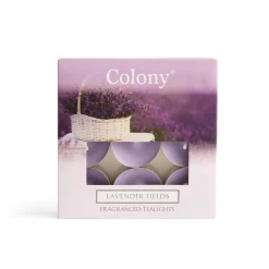 Wax Lyrical Colony Pack of 9 Scented Tealights - Lavender Fields