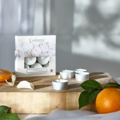 Wax Lyrical Colony Pack of 9 Scented Tealights - Perfect Day