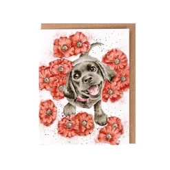 Wrendale Designs by Hannah Dale Seed Card - Poppy Love