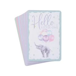 Wrendale Designs by Hannah Dale Little Wren Milestone Cards