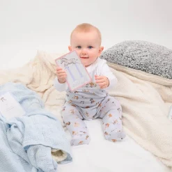 Wrendale Designs by Hannah Dale Little Wren Milestone Cards