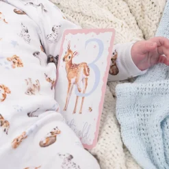 Wrendale Designs by Hannah Dale Little Wren Milestone Cards