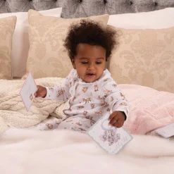 Wrendale Designs by Hannah Dale Little Wren Milestone Cards