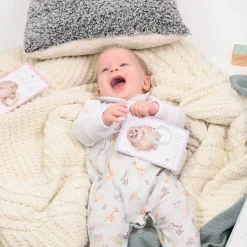 Wrendale Designs by Hannah Dale Little Wren Milestone Cards