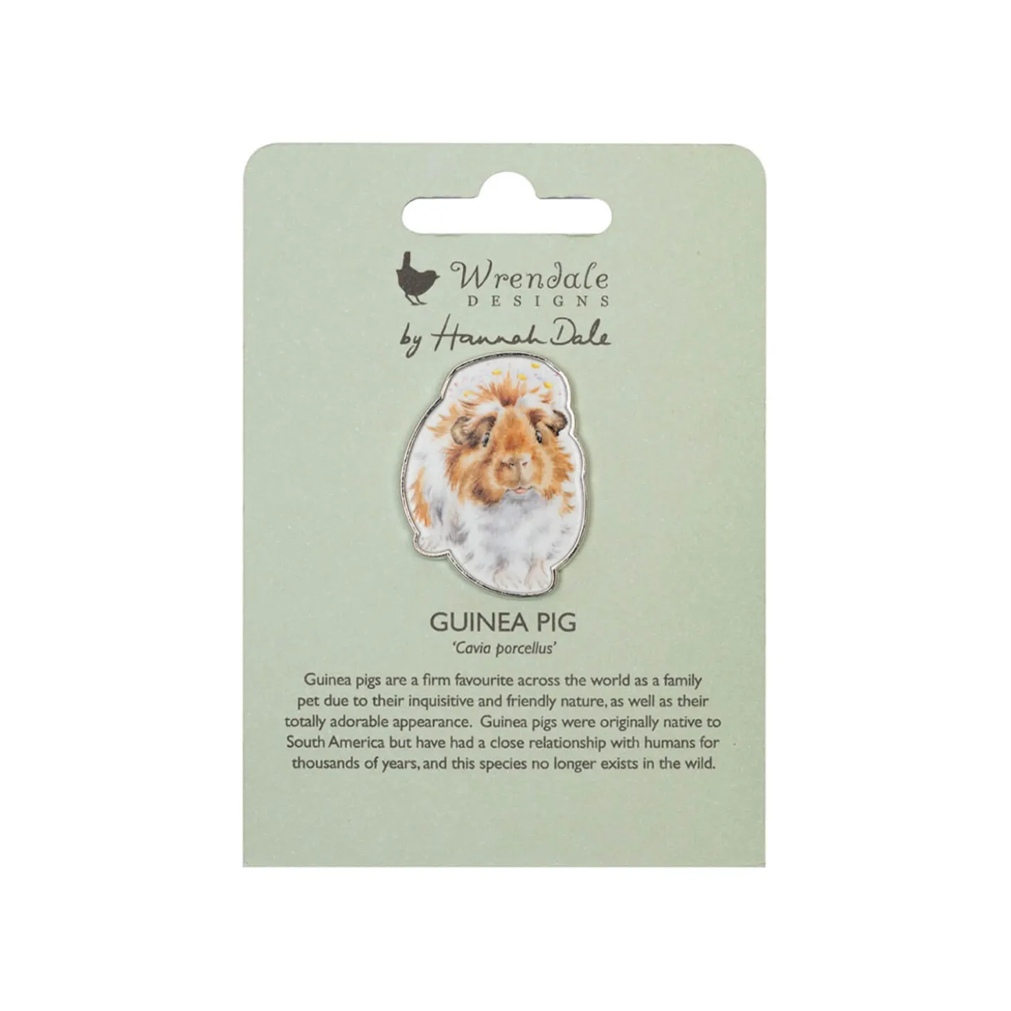 Wrendale Designs by Hannah Dale Pin Badge - Grinny Pig - Guinea Pig