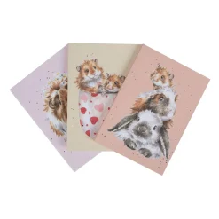 Wrendale Designs by Hannah Dale Set of 3 Notebooks - Whiskers & Paws