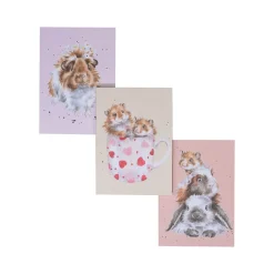 Wrendale Designs by Hannah Dale Set of 3 Notebooks - Whiskers & Paws